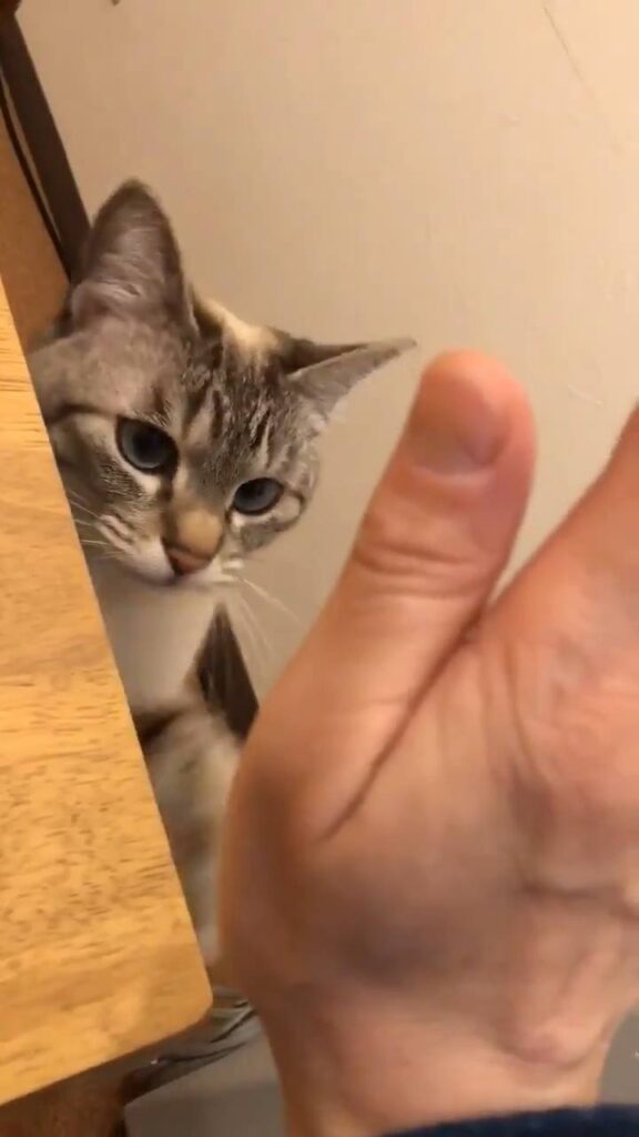 High five! ^^